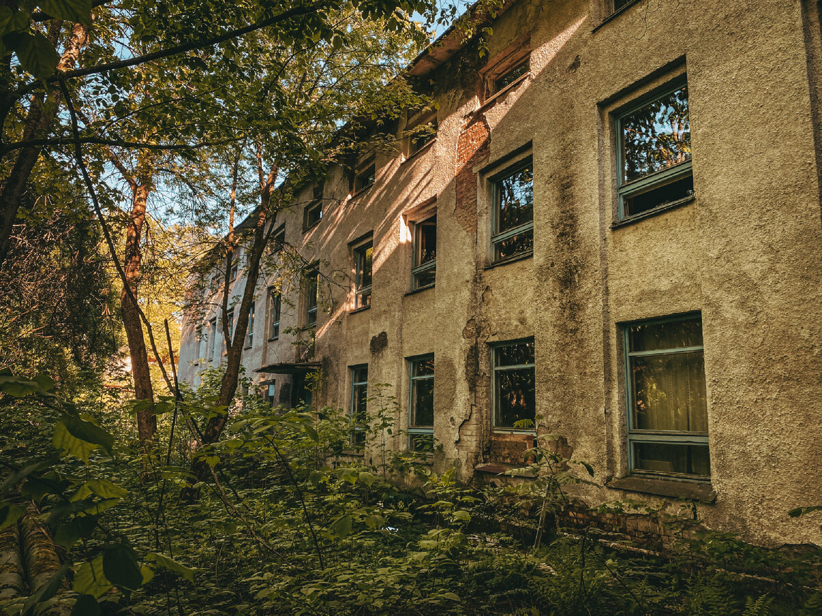 Фото автора