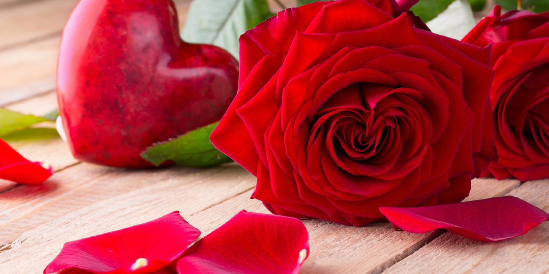 Розы любви