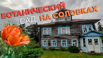 Ботанический сад на Соловках