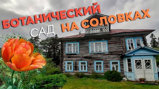 Ботанический сад на Соловках