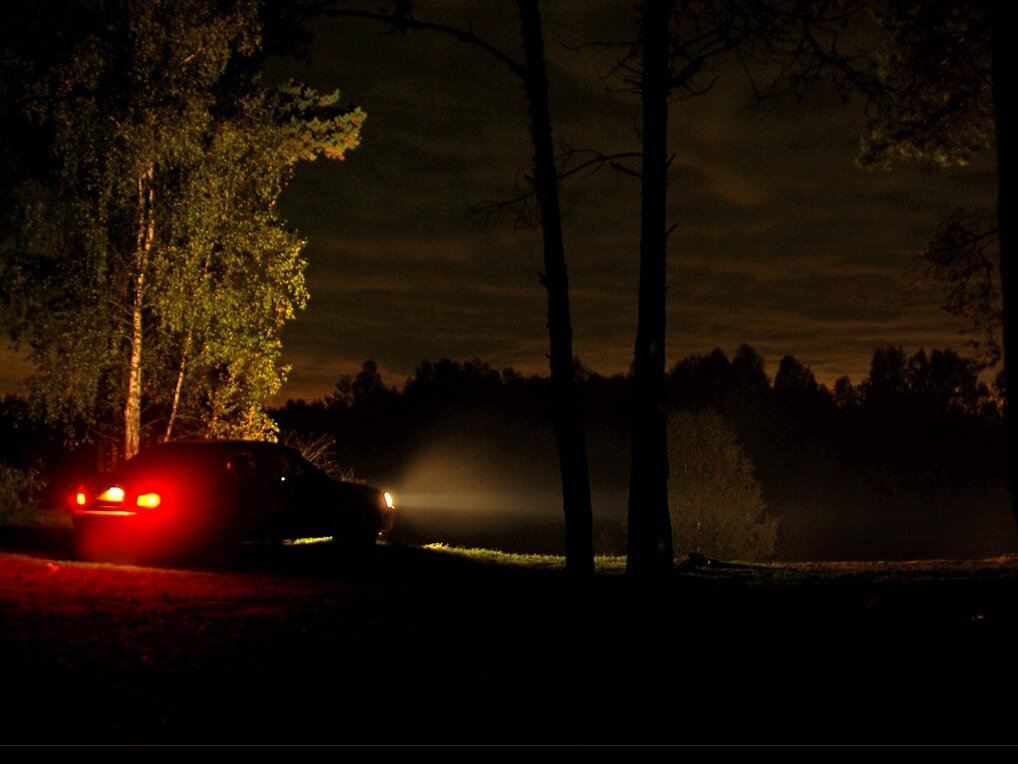 Фото из интернета