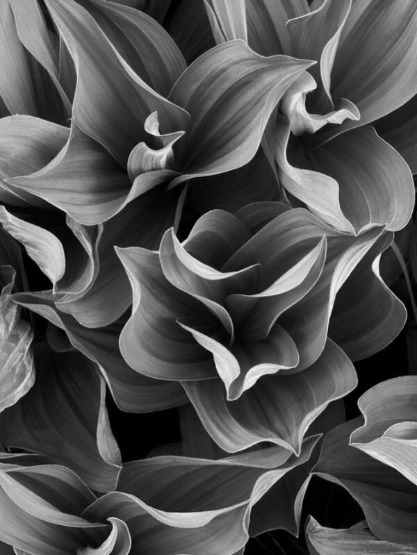 Картинка взята из общей сети Интернет.