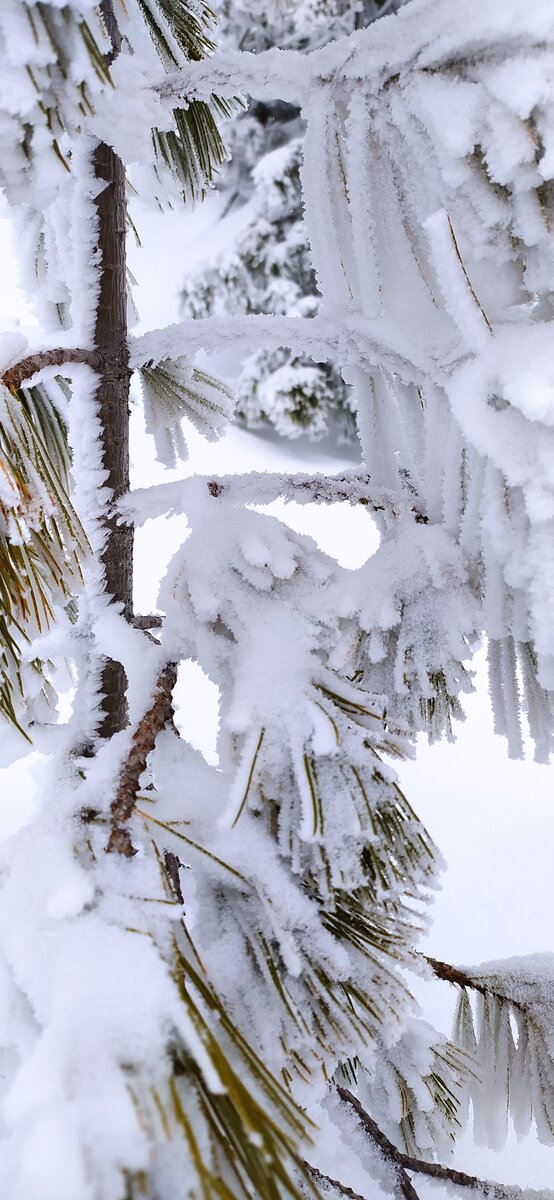 Фото: автора