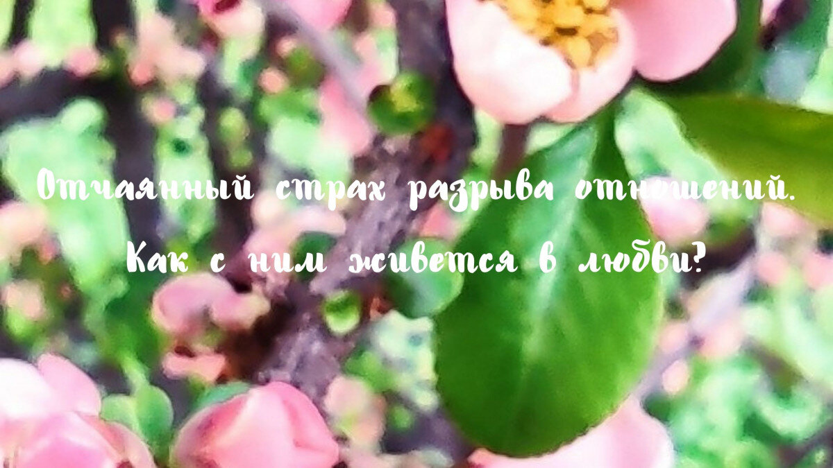 Отчаянный страх разрыва отношений. Как с ним живется в любви? | Людмила  Домбровская | Дзен