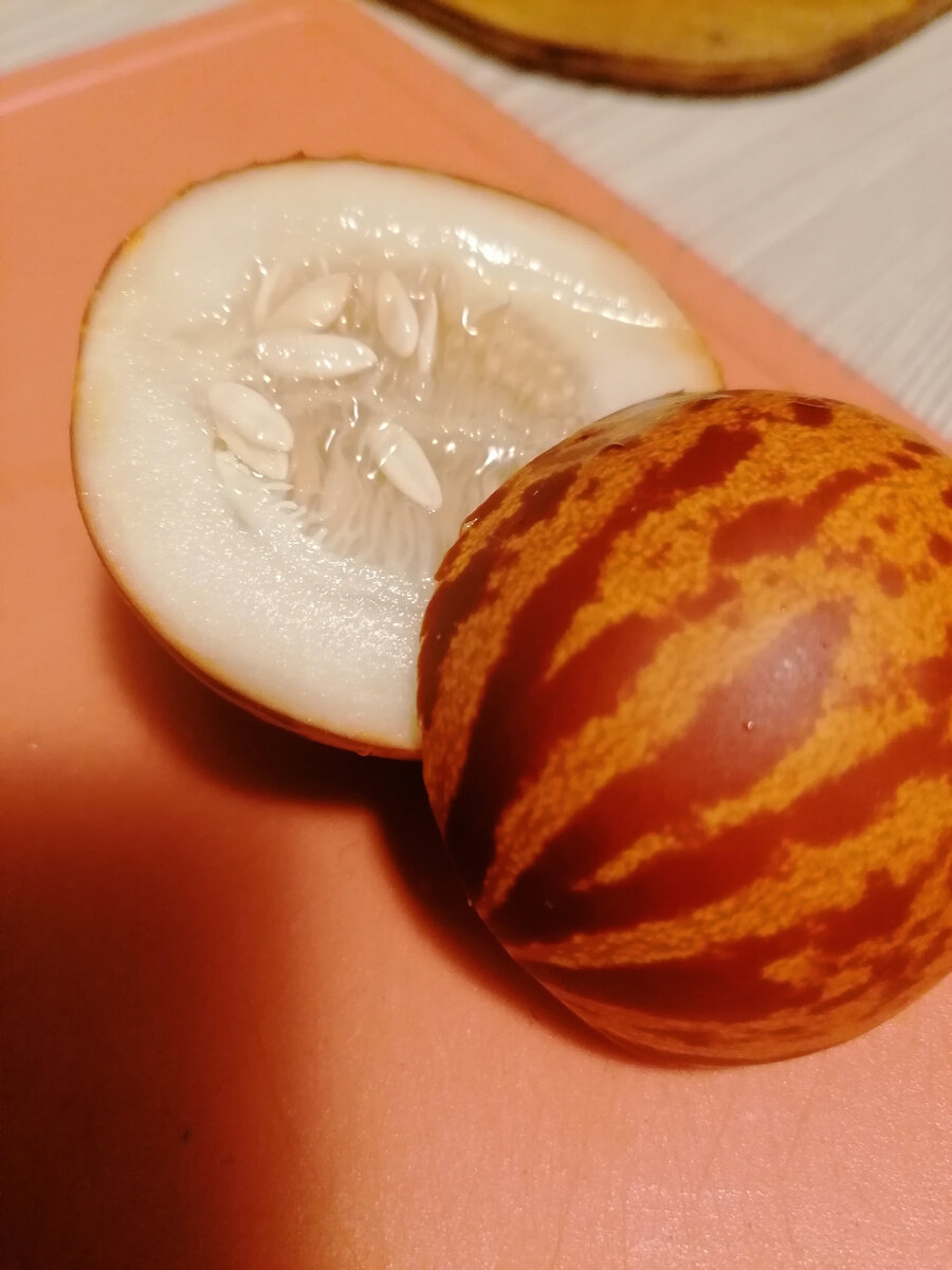 микродыня сорт "вьетнамский" 