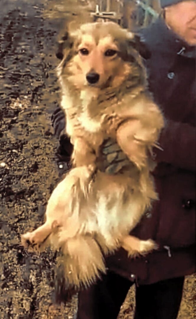 Малышка испугана. Как ей выжить?