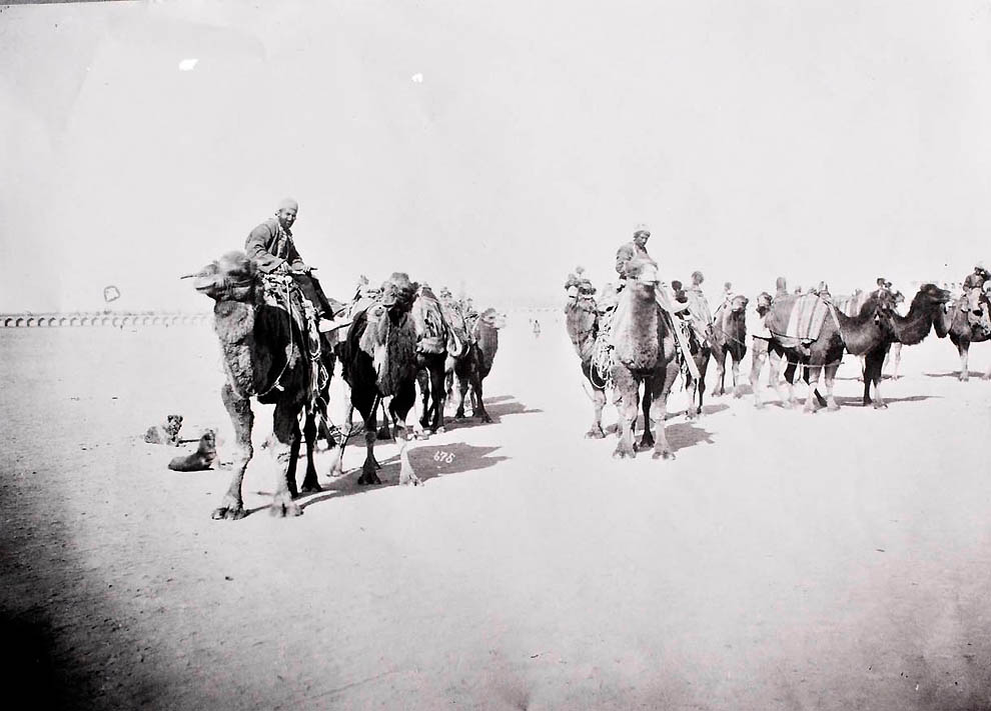 Караван конный. Фотограф Севрюгин Иран. Верблюд Караван Великий шелковый путь.