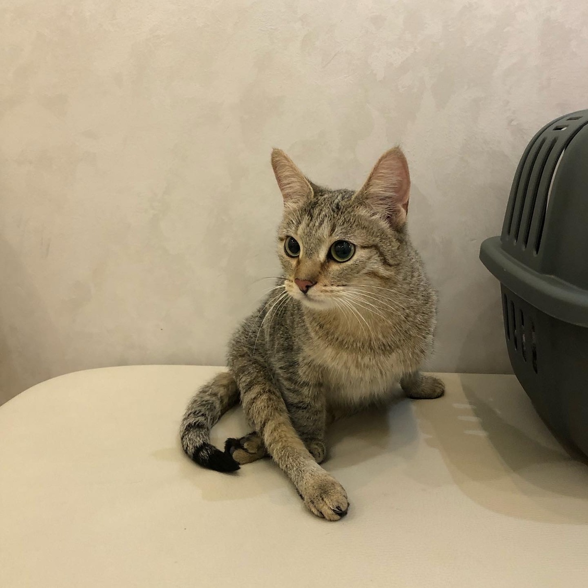 Глаза боятся, а всё равно любопытно