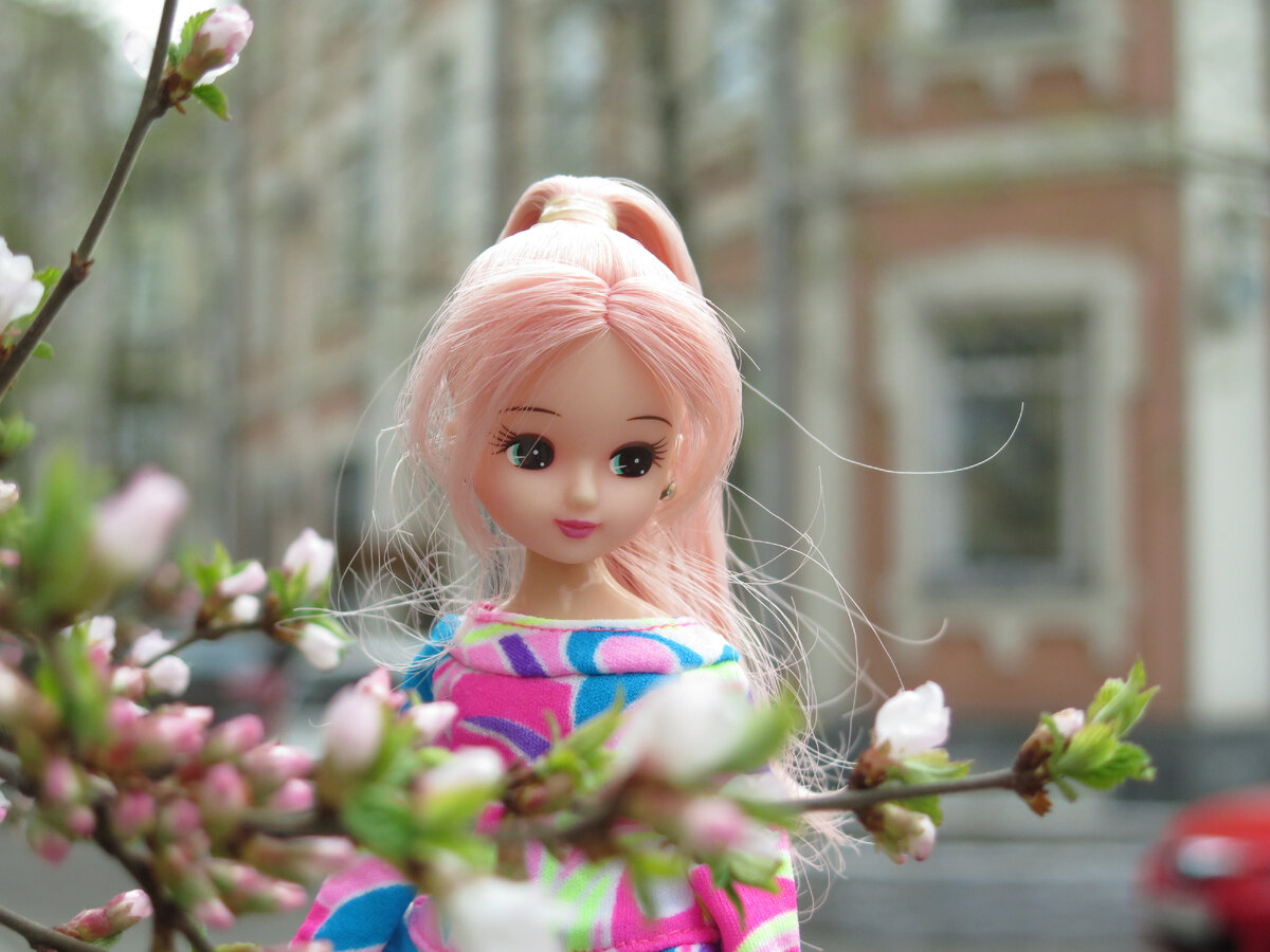 Кукла Licca Takara начала 2010х из моей коллекции. Фотографии авторские.