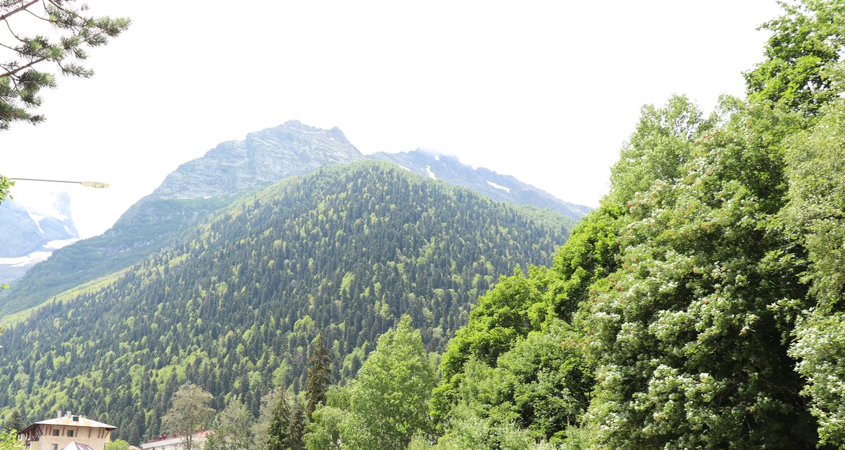 Живописные холмы, все в деревьях. Здесь и далее - фото автора.