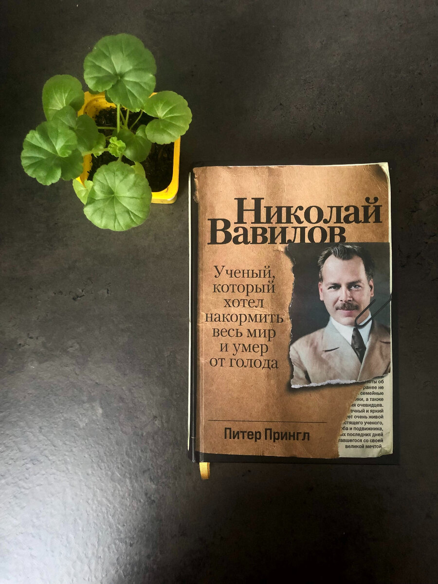 Николай Вавилов и мой гранат 