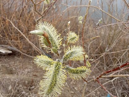 Фотография из личного архива автора