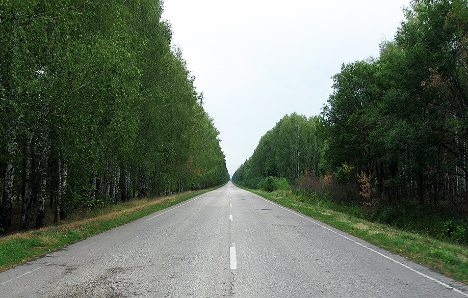 Дорога уходит в точку