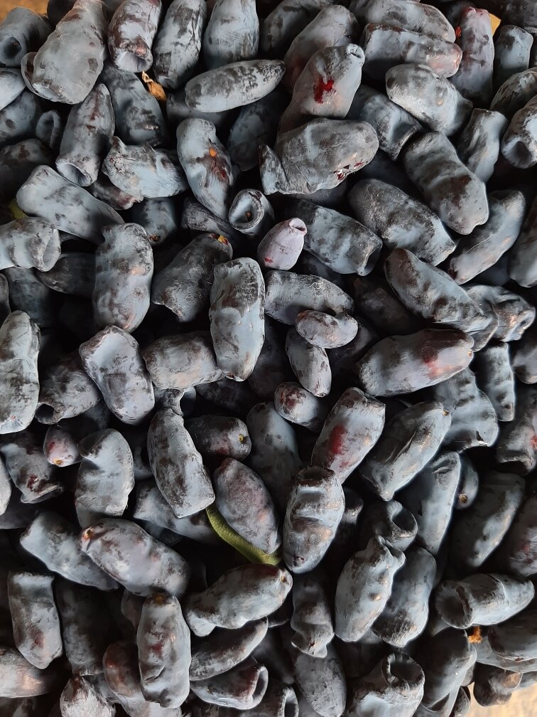 Ягодки сантиметра по два длиной. Классный сорт, знать бы название.