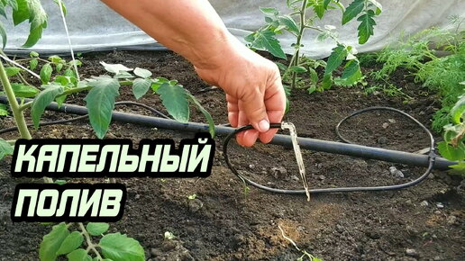 Оборудование для капельного полива