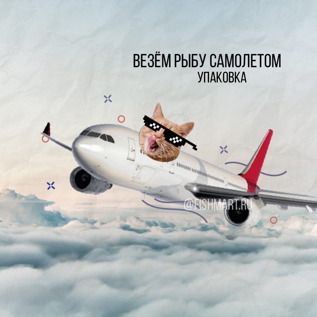 Перевозимое рыбовое. Лайфхацки