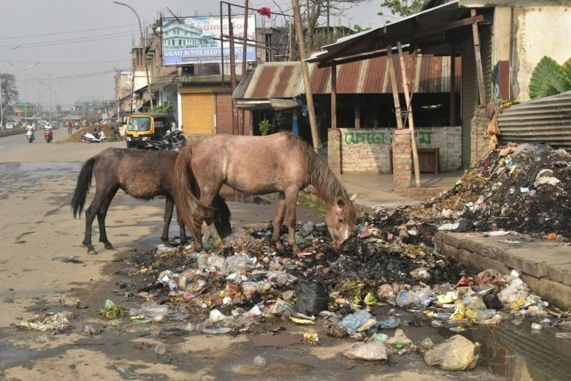 Из князи в грязи :(
