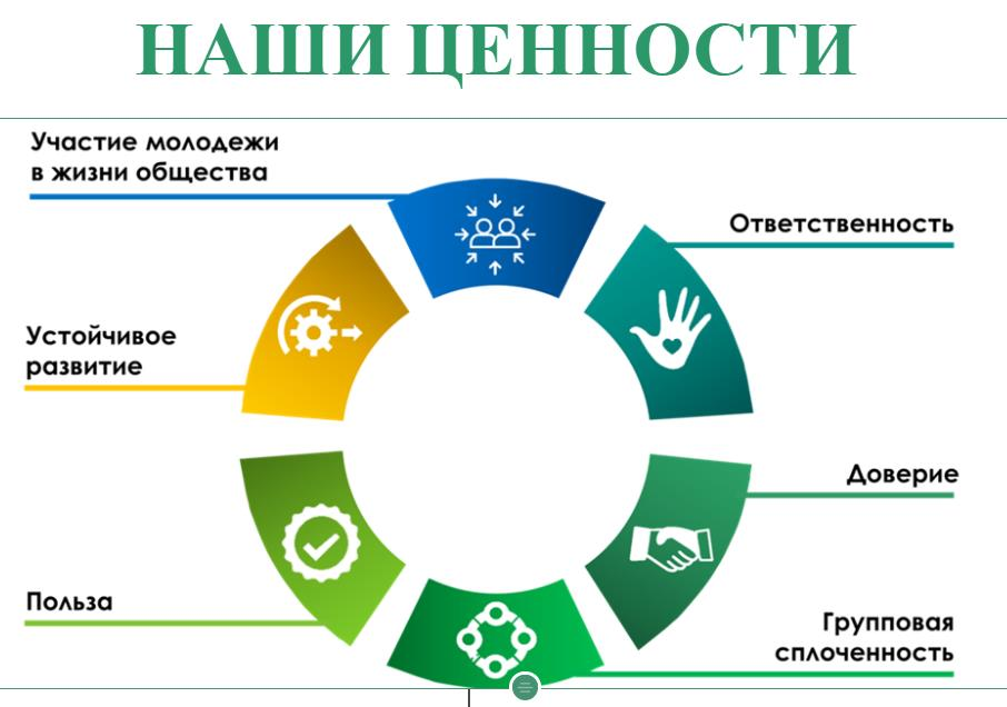 Какие бывают ценности проекта