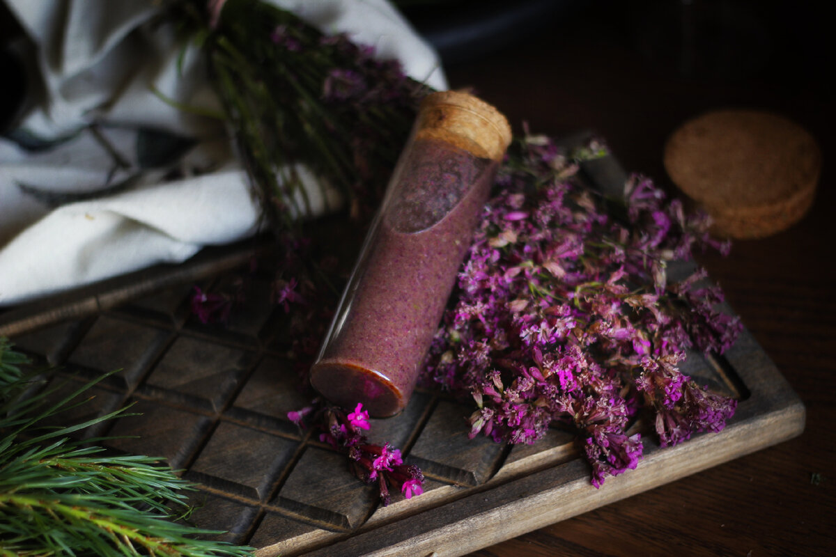 Вытяжка из растений на масле. Эфирные масла. Зимолюбка зонтичная. Настойка на травах. Настойка алтайские травы.