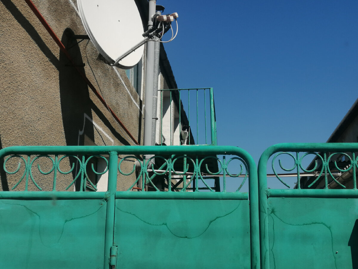 Присмотритесь, Лилит на втором этаже смотрит кто приехал? Пока я зайду внутрь, она уже будет внизу