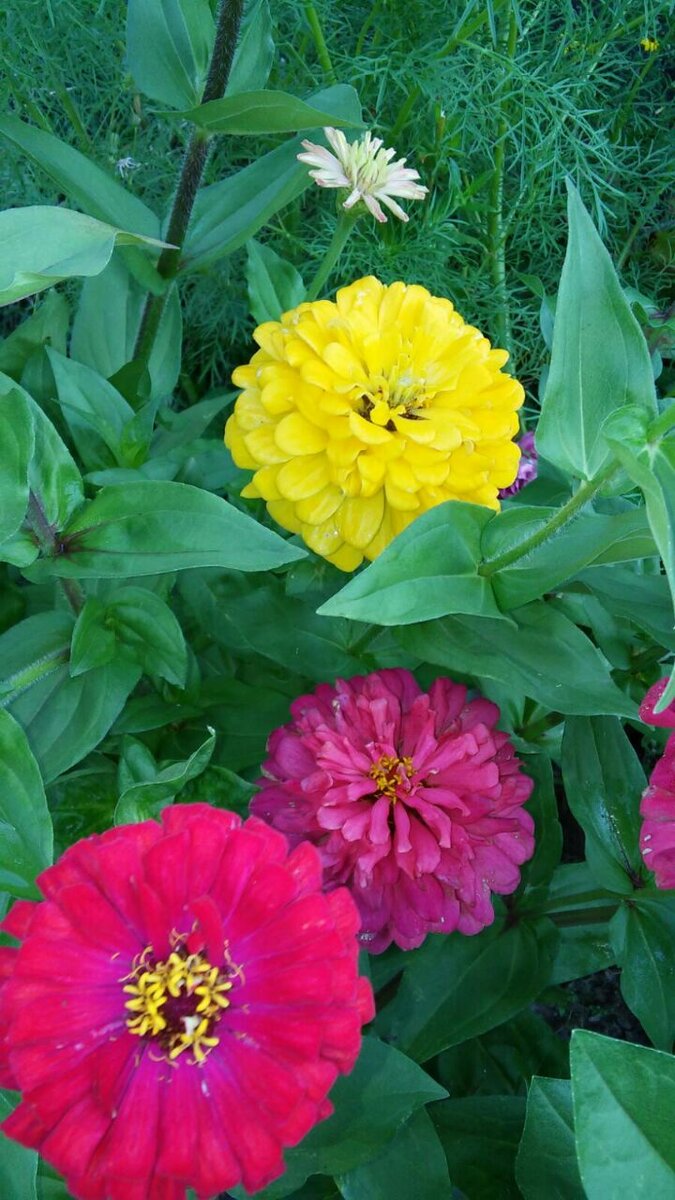 Фото автора.