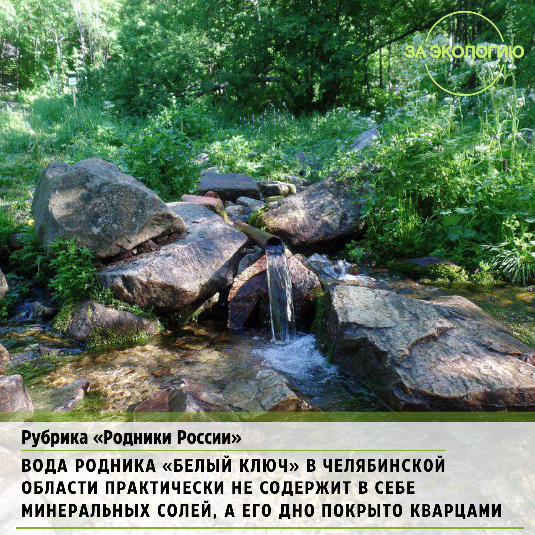 Родники руси песня. Национальный парк Таганай белый ключ Родник. Родник белый ключ Саратовская область. Святой источник белый ключ Саратов. Источник белый ключ Таганай.