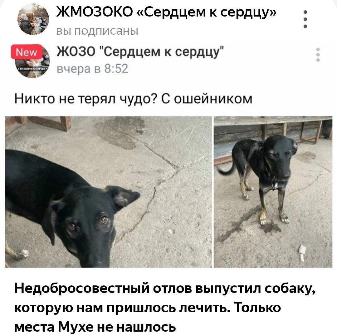 Статья на канале