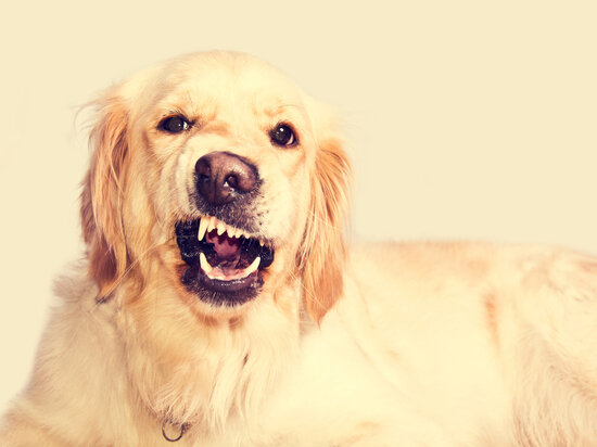     Фото: ru.freepik.com