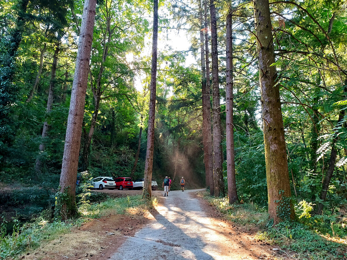 Это мы ещё не знали какая дорожка нас ждала впереди