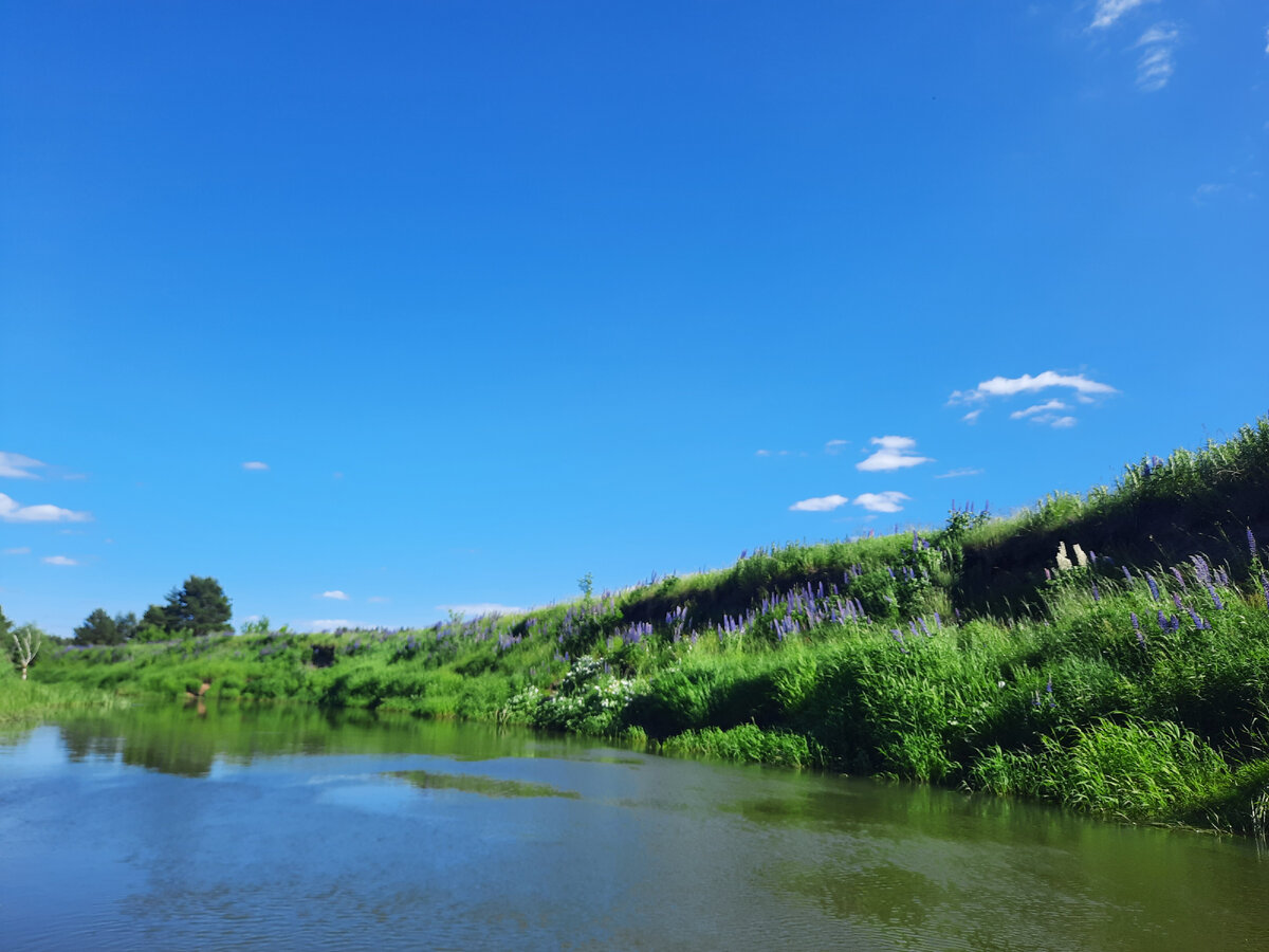 Луга вдоль Киржача. 