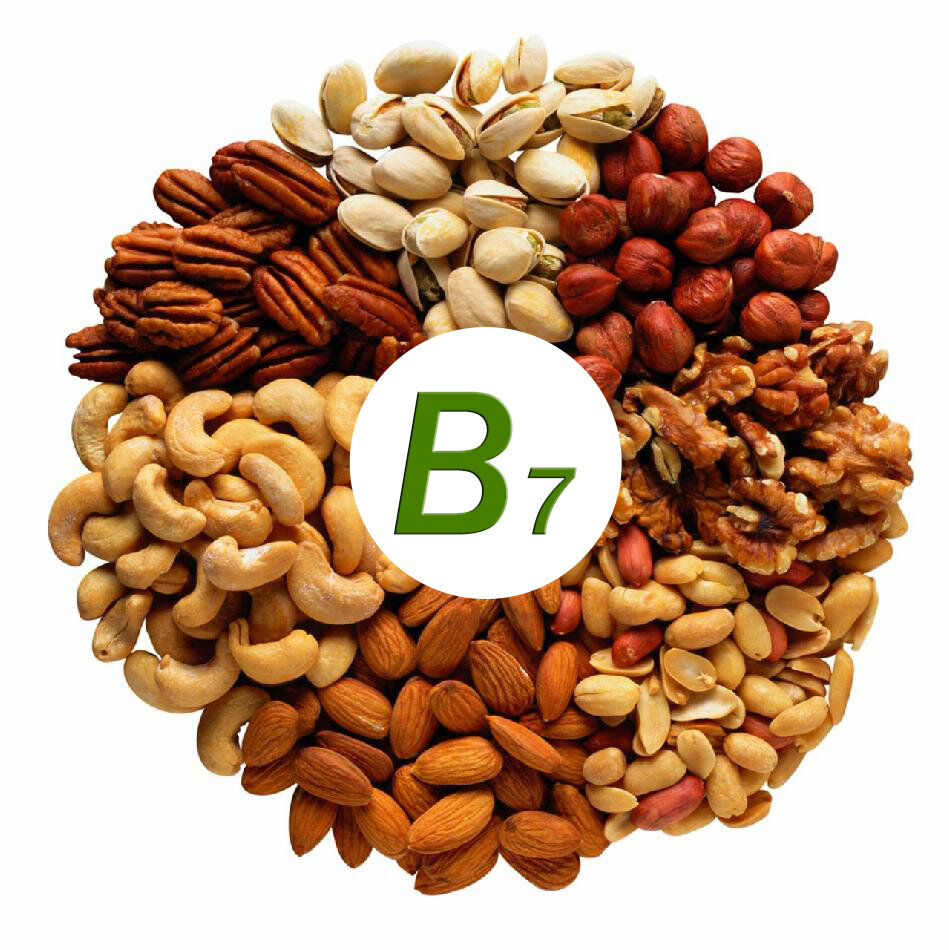 Биотин - Витамин В7