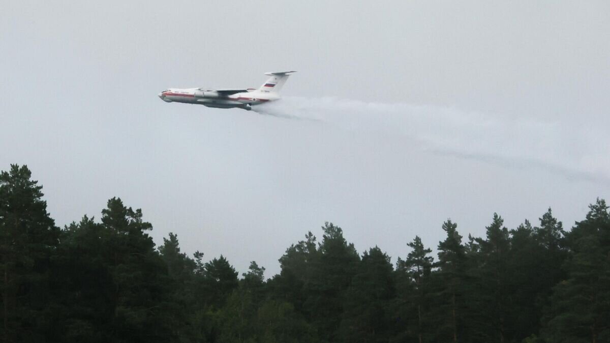    Самолет Ил-76ТД противопожарной службы МЧС РФ во время тушения природного пожара в Рязанской области© РИА Новости / Виталий Белоусов