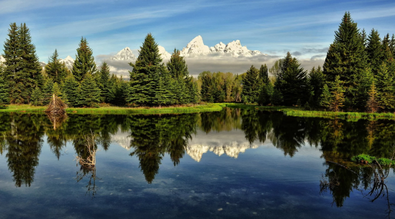 картинка из яндекс
