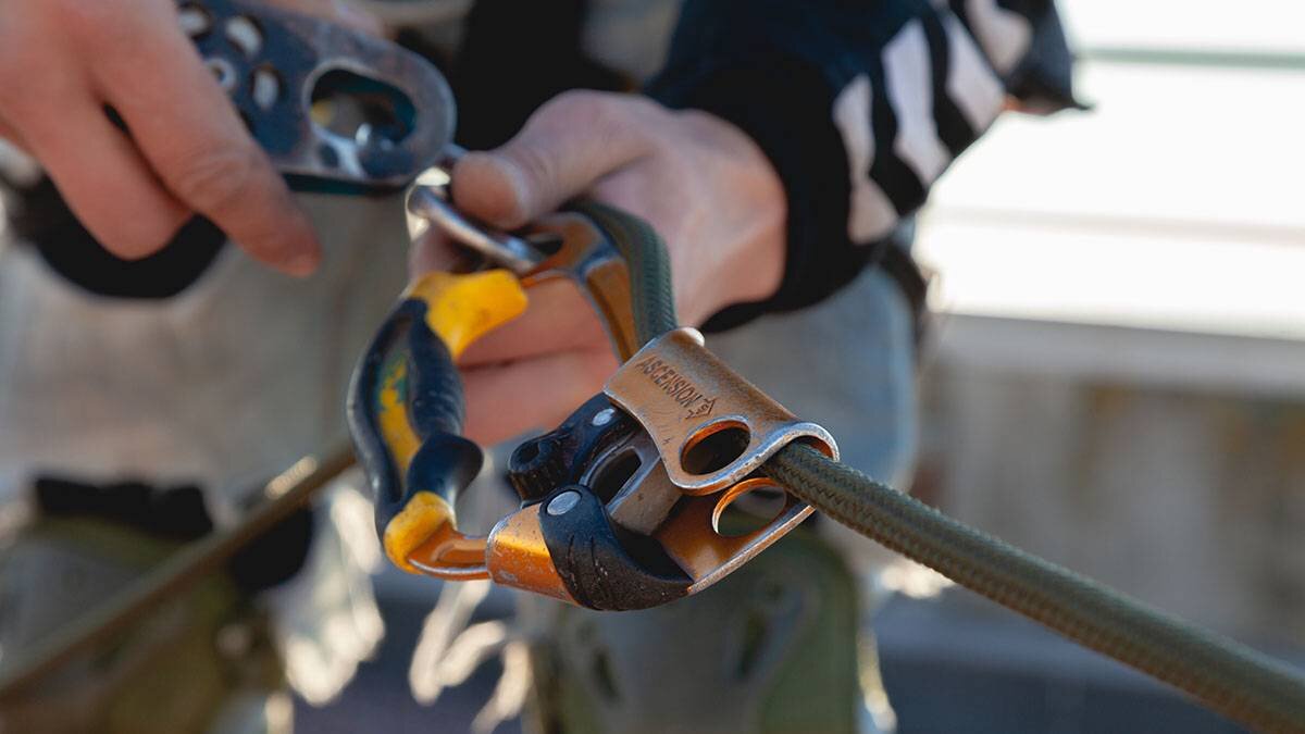    Фото: shutterstock