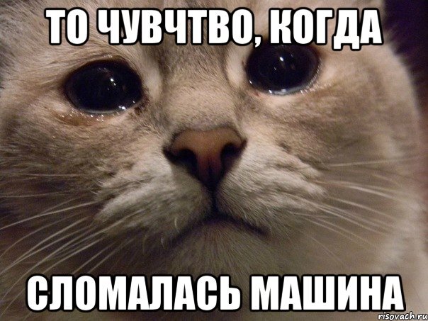 http://risovach.ru/