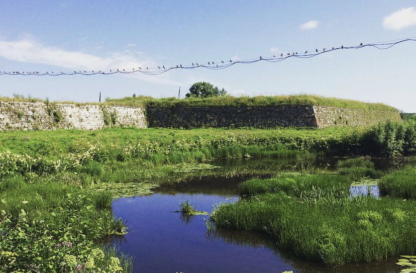 На подступах к Новодвинской крепости. Фотографии в телефоне вызвали море воспоминаний и желания написать об этой чудесной заброшке