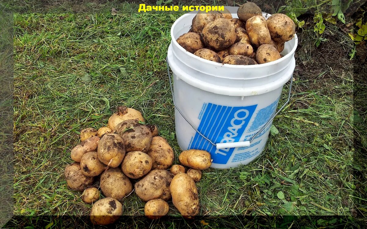 https://vk.com/photo-159774511_457255753