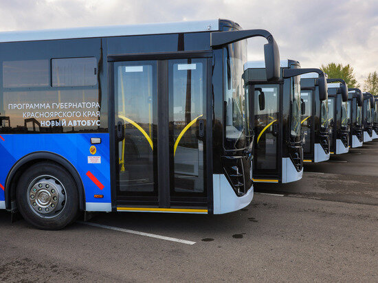     Фото правительства Красноярского края