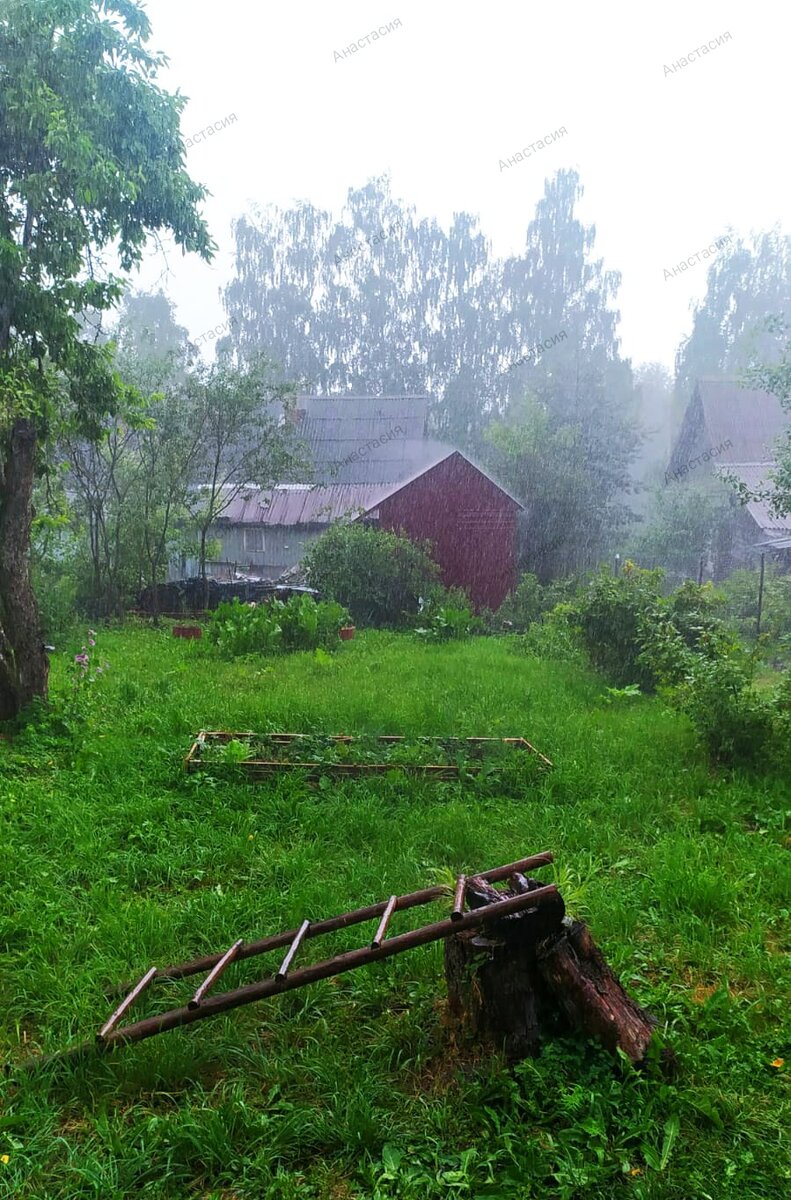 Домик в деревне 