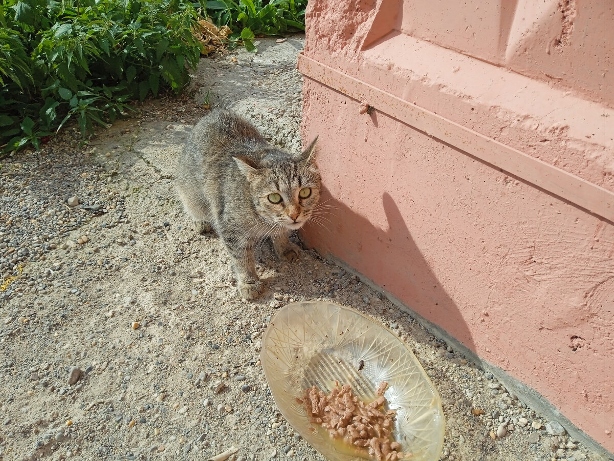 Вот так вот смотрит. Это точно мне? Можно, да? 