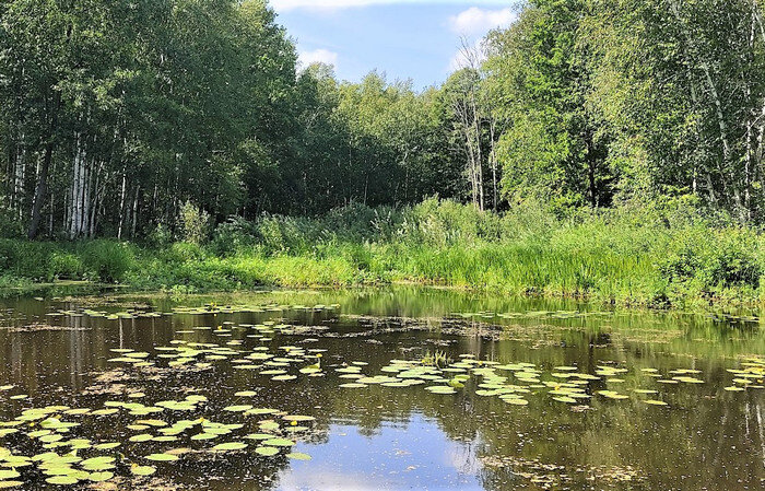    Фото Элины Антонюк, Окский заповедник
