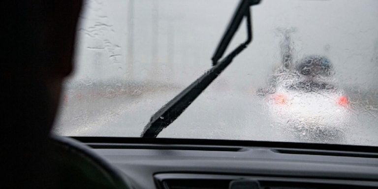 Фото: РИА «Новости» Крым / Дмитрий Макеев