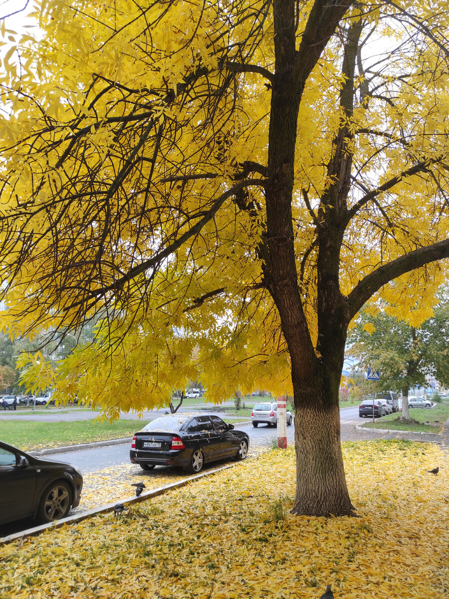 Фото из личного архива