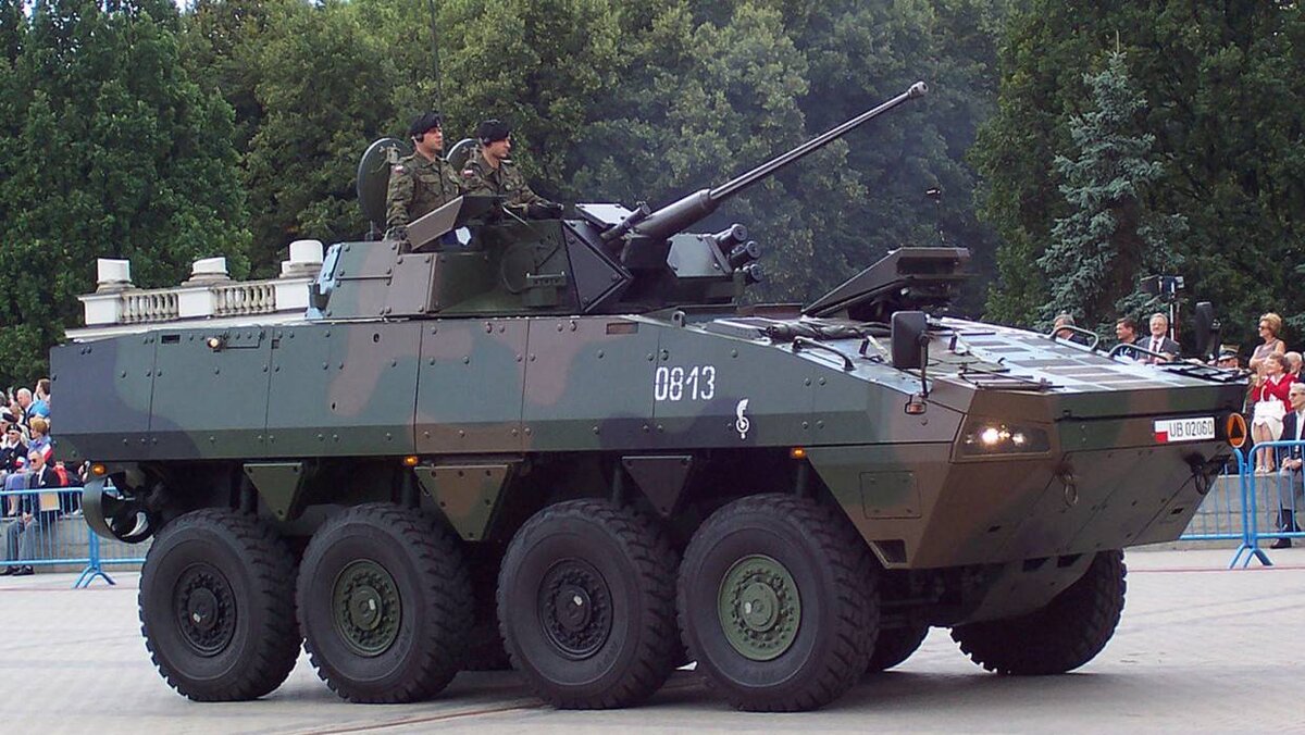 Польский БТР  фото: картинки  яндекса
