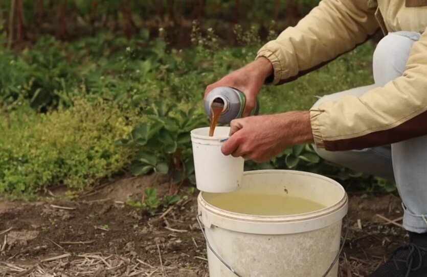 Фото: Дмитрий Кастрицкий