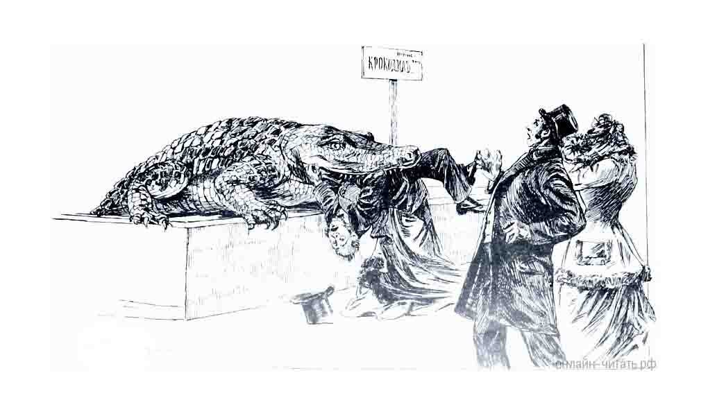 Достоевский крокодил иллюстрации. Крокодил необыкновенное событие или пассаж в пассаже. Крокодил пассаж в пассаже достоевский. Журнал шут 1898. Иллюстрации к рассказу крокодил достоевский.