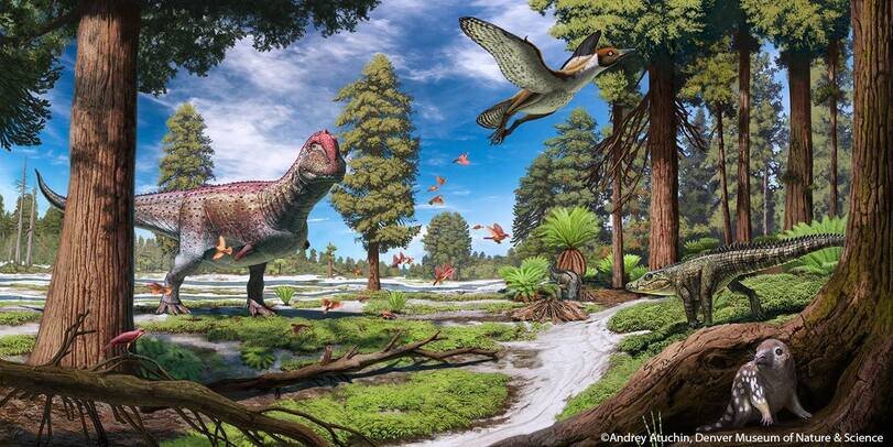 Когда директор завода обходит цех, а ты пытаешься куда-нибудь исчезнуть.