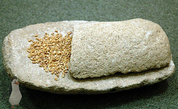                                       Зернотёрка. Каменный век