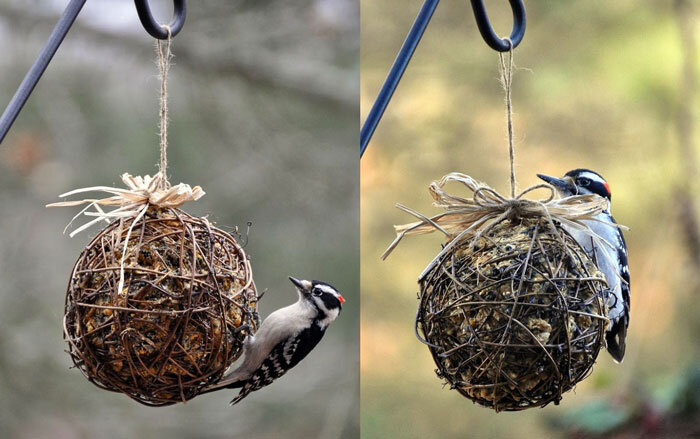 Кормушка для птиц из дерева ( фото) - фото - картинки и рисунки: скачать бесплатно