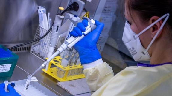    Фото: Jens Büttner/Globallookpress